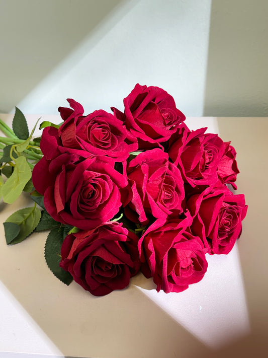 Forever Love: The Charm of Velvet Roses This Valentine's Day
