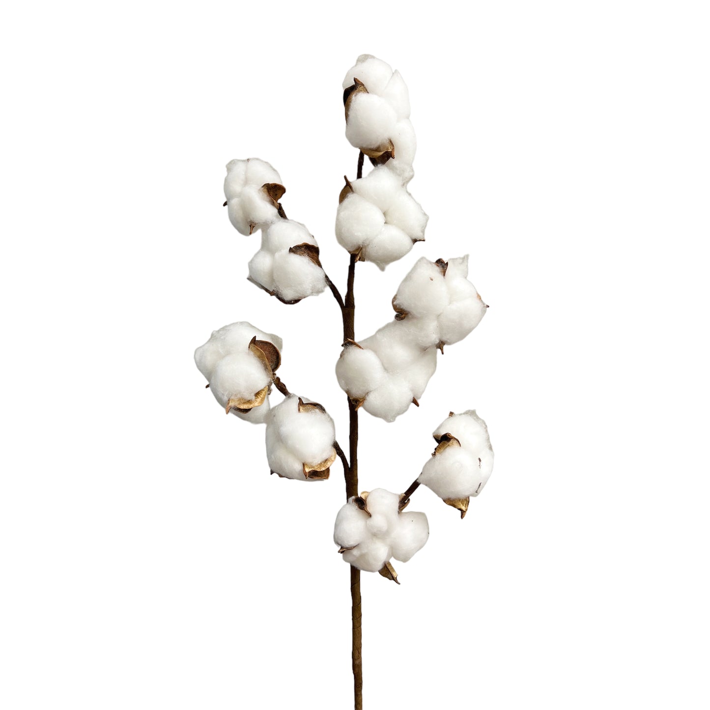 21-Inch Tall Artificial Cotton Flower Stem with 10 Cotton Bolls per Stem, Set of 2