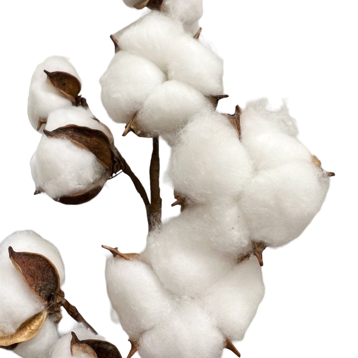 21-Inch Tall Artificial Cotton Flower Stem with 10 Cotton Bolls per Stem, Set of 2