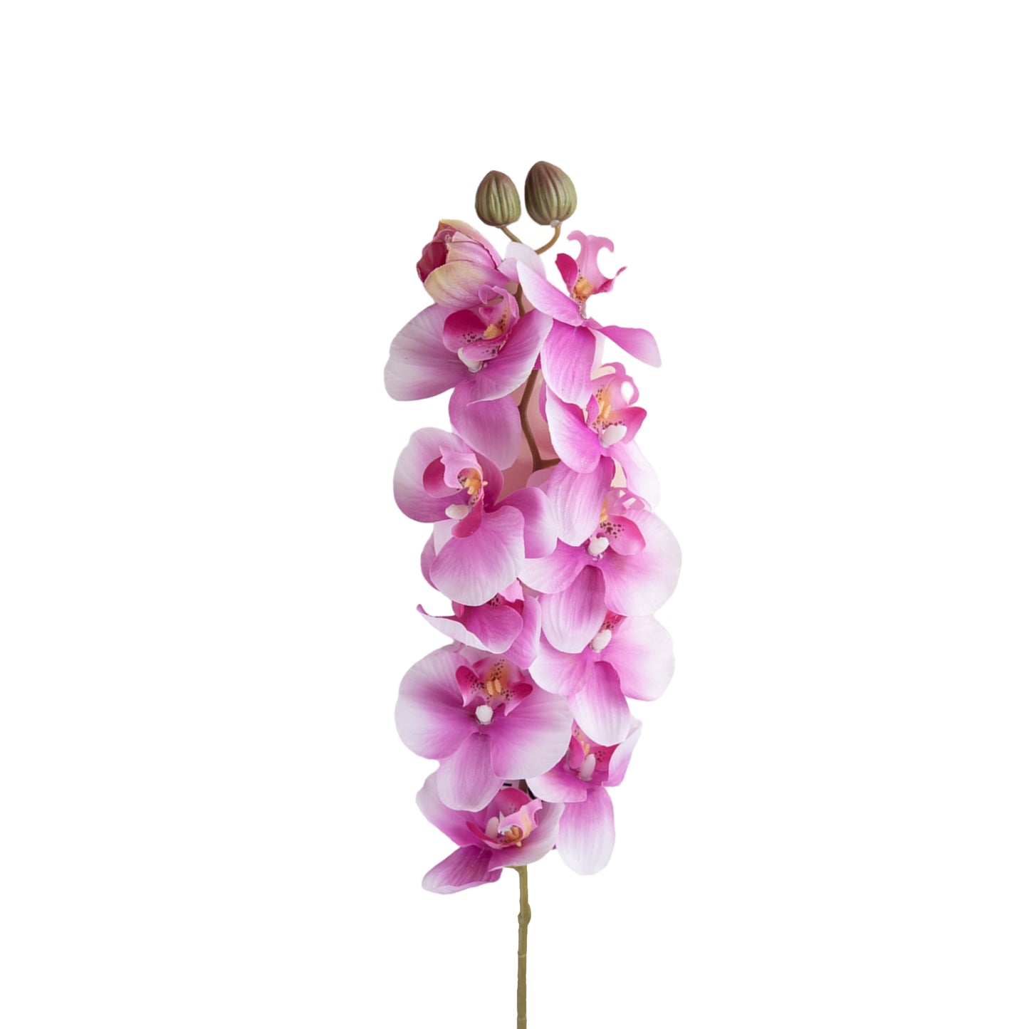 Set of 2 Artificial Phalaenopsis Orchid Stems, 28 inches