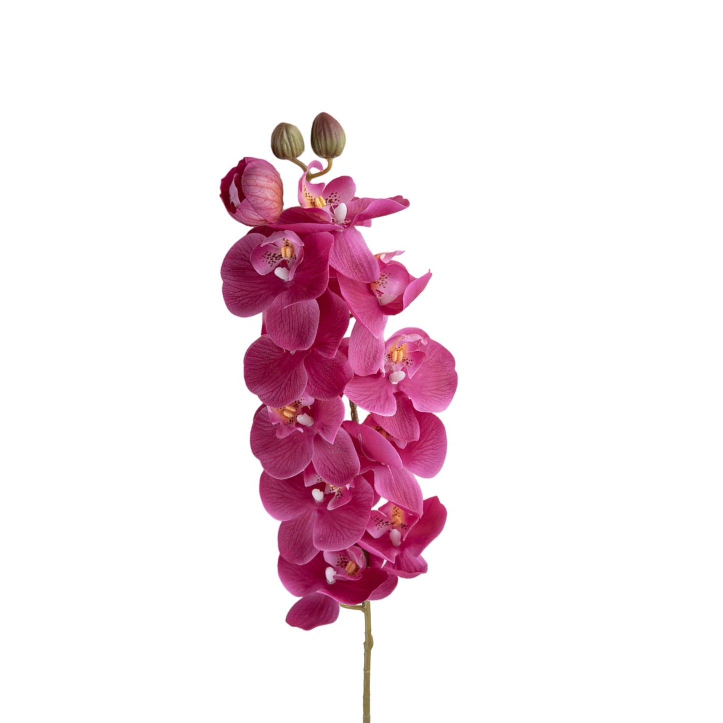 Set of 2 Artificial Phalaenopsis Orchid Stems, 28 inches