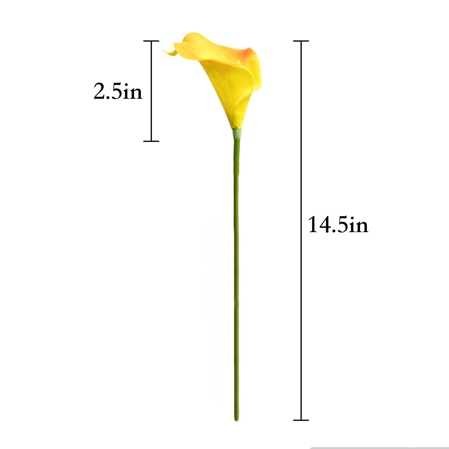 Bunch of 10 Realistic Artificial Calla Lily Flower Stems in Various Colors