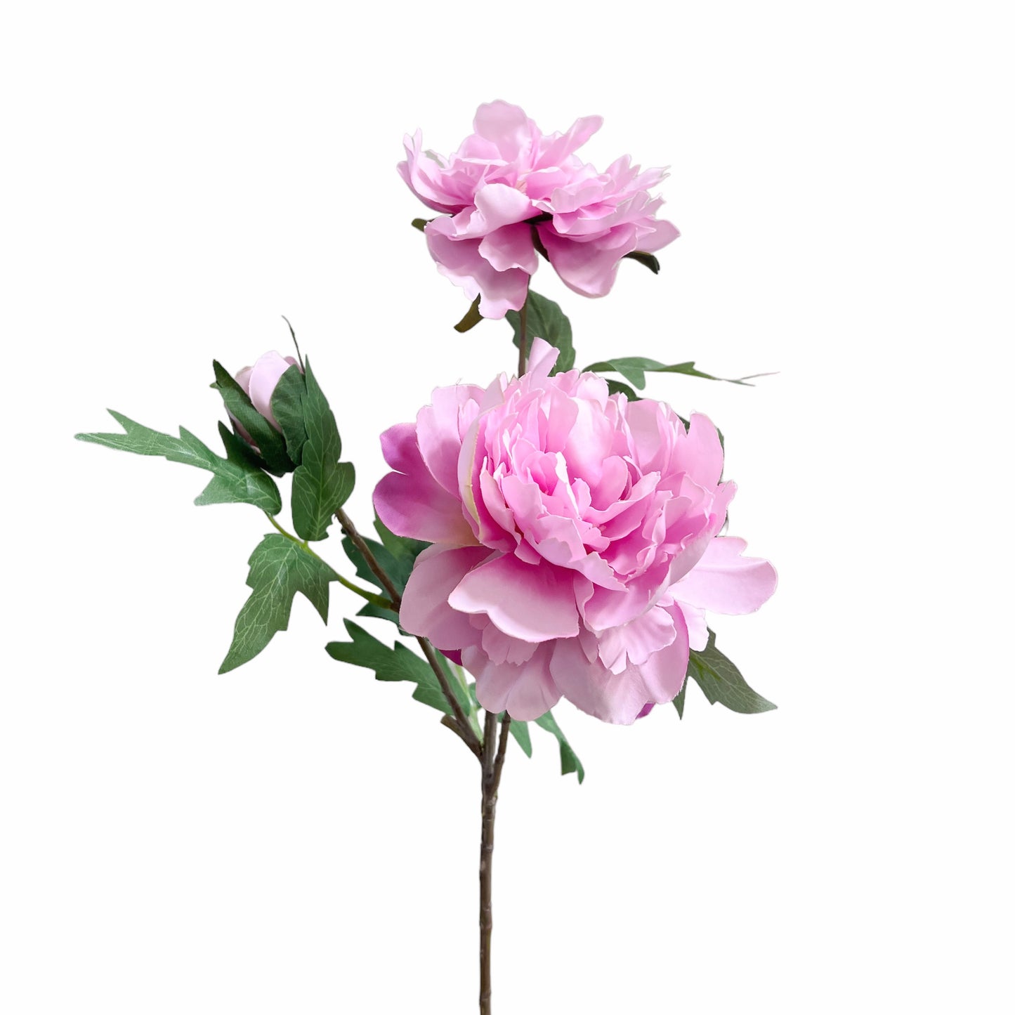 Artificial Peony Stems, Set of 3, 21in Tall