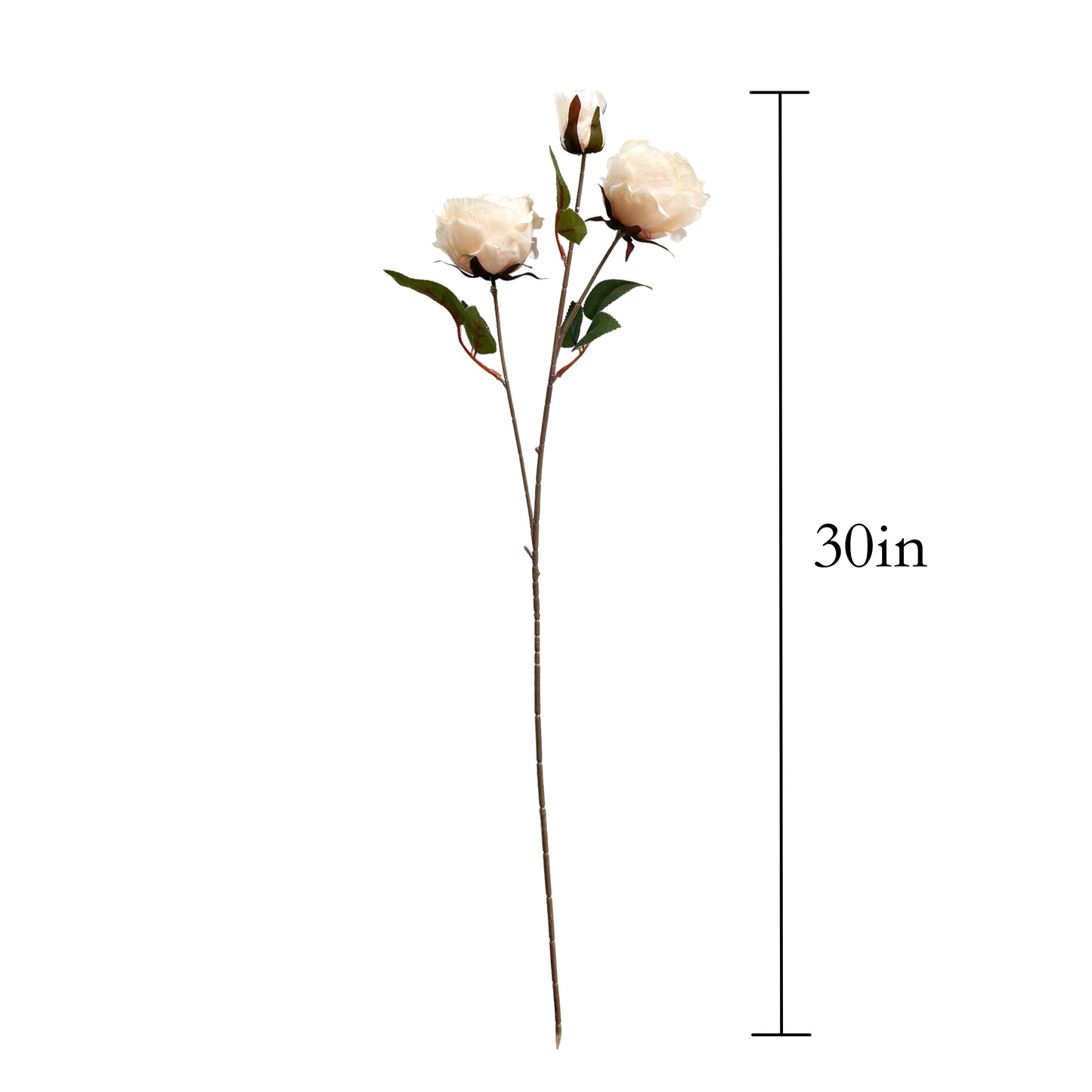 Set of 2 Artificial Champagne Rose Stems, 30 Inches Tall