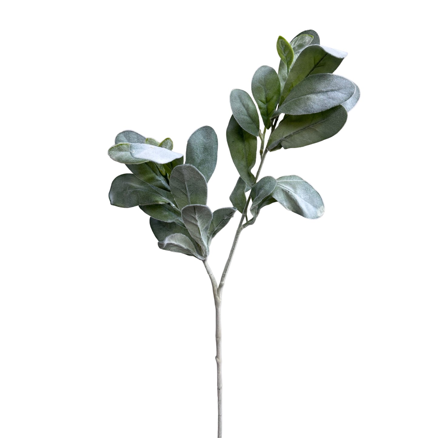 Set of 6 Flexible Artificial Lamb's Ear Stems with Bifurcated Branches, 25“