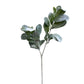 Set of 6 Flexible Artificial Lamb's Ear Stems with Bifurcated Branches, 25“