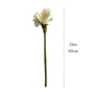 Elegant Artificial Amaryllis Duo, 24" with Flexible Stems