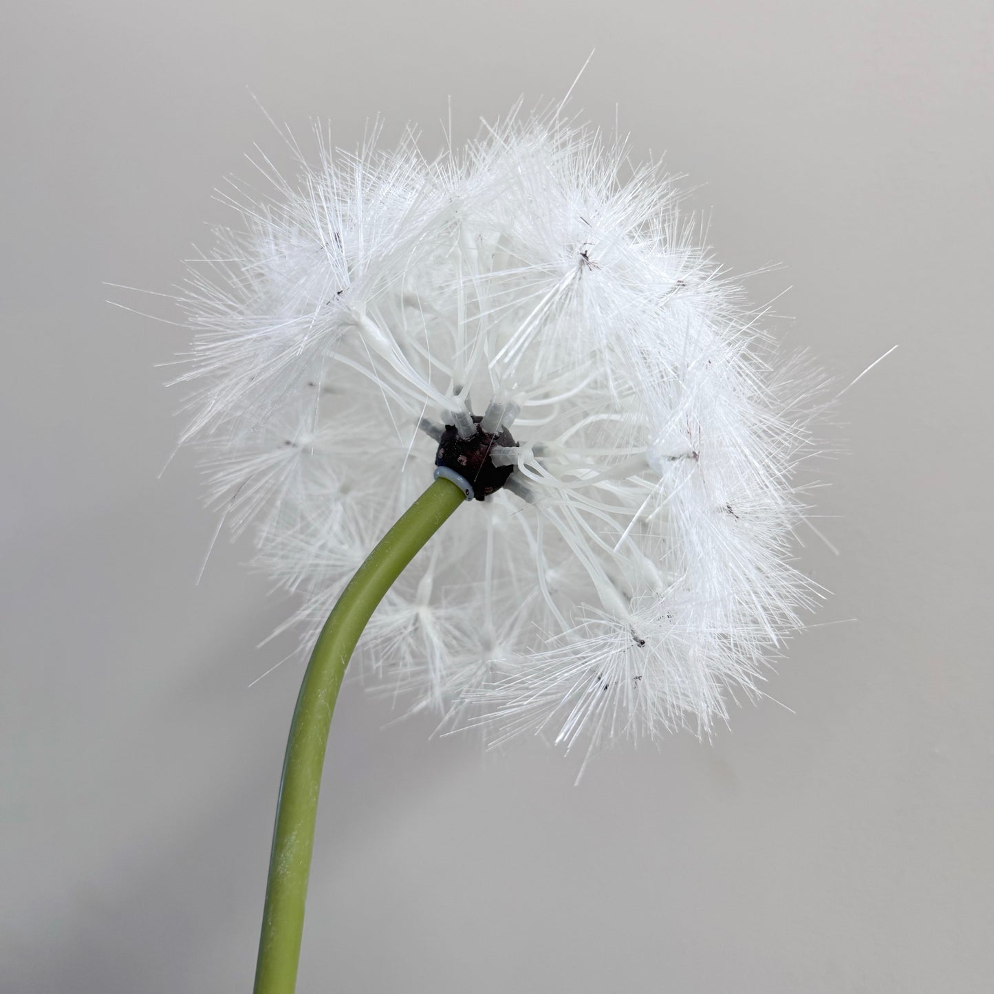 Set of 2 Elegant Bendable Artificial Dandelion Stems, 27 inches Tall