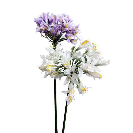 Agapanthus Artificial Flowers Set - 2-Pack Long-Stem 32" African Lily Elegance