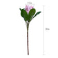 Artificial Protea Stem with Large Bloom, 20 Inches Tall