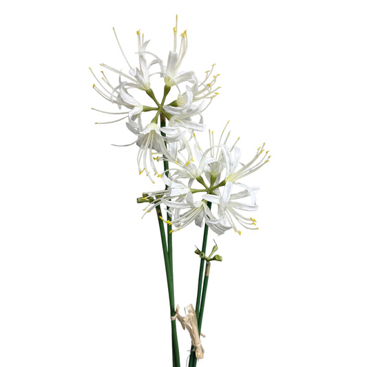 Set of 2 Artificial Spider Lily Stems, 24 inches Tall