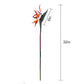 Set of 2 Flexible Artificial Bird of Paradise Stems, 32 inches Tall