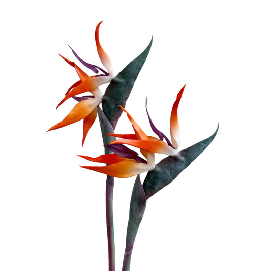 Set of 2 Flexible Artificial Bird of Paradise Stems, 32 inches Tall