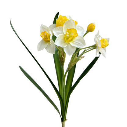 Flexible Artificial Daffodil Stem, 22 Inches