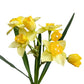 Flexible Artificial Daffodil Stem, 22 Inches