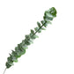 Eucalyptus Artificial Stem Duo, 26" Bendable