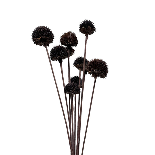 Rustic Black Echinops Bundle - 18-inch Artificial Thistle Flower Stems, Set of 10