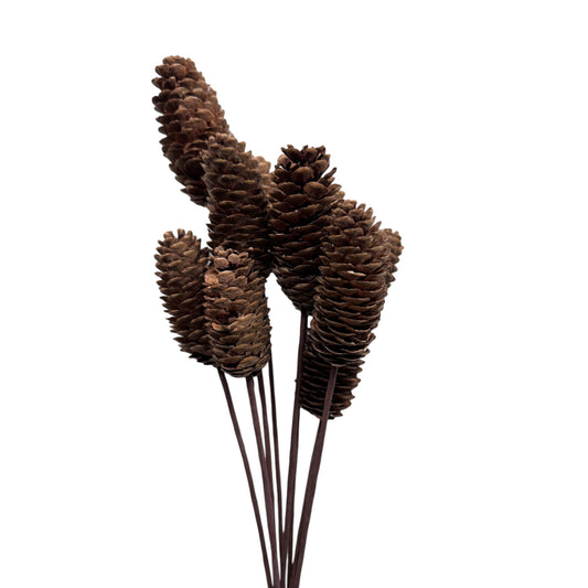 Natural Pinecone Picks - 19-inch Decorative Artificial Pine Branches, Set of 10
