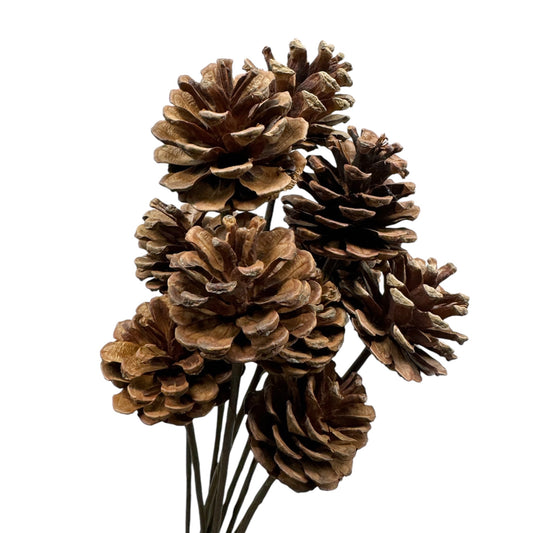 Woodland Charm Pinecone Stems - 19-inch Flexible Artificial Pine Picks, Set of 10