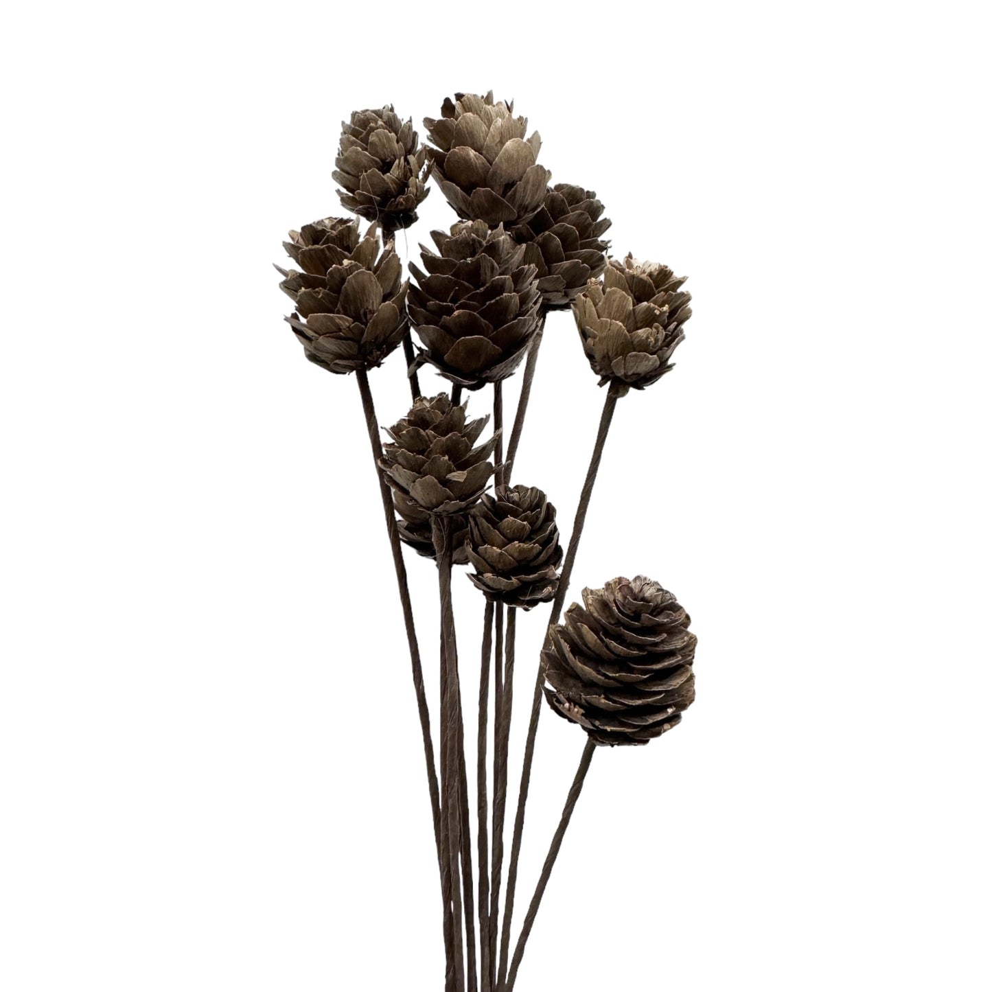 Autumn Whisper Pinecone Sprays - 20-inch Adjustable Faux Pine Stems, Set of 10