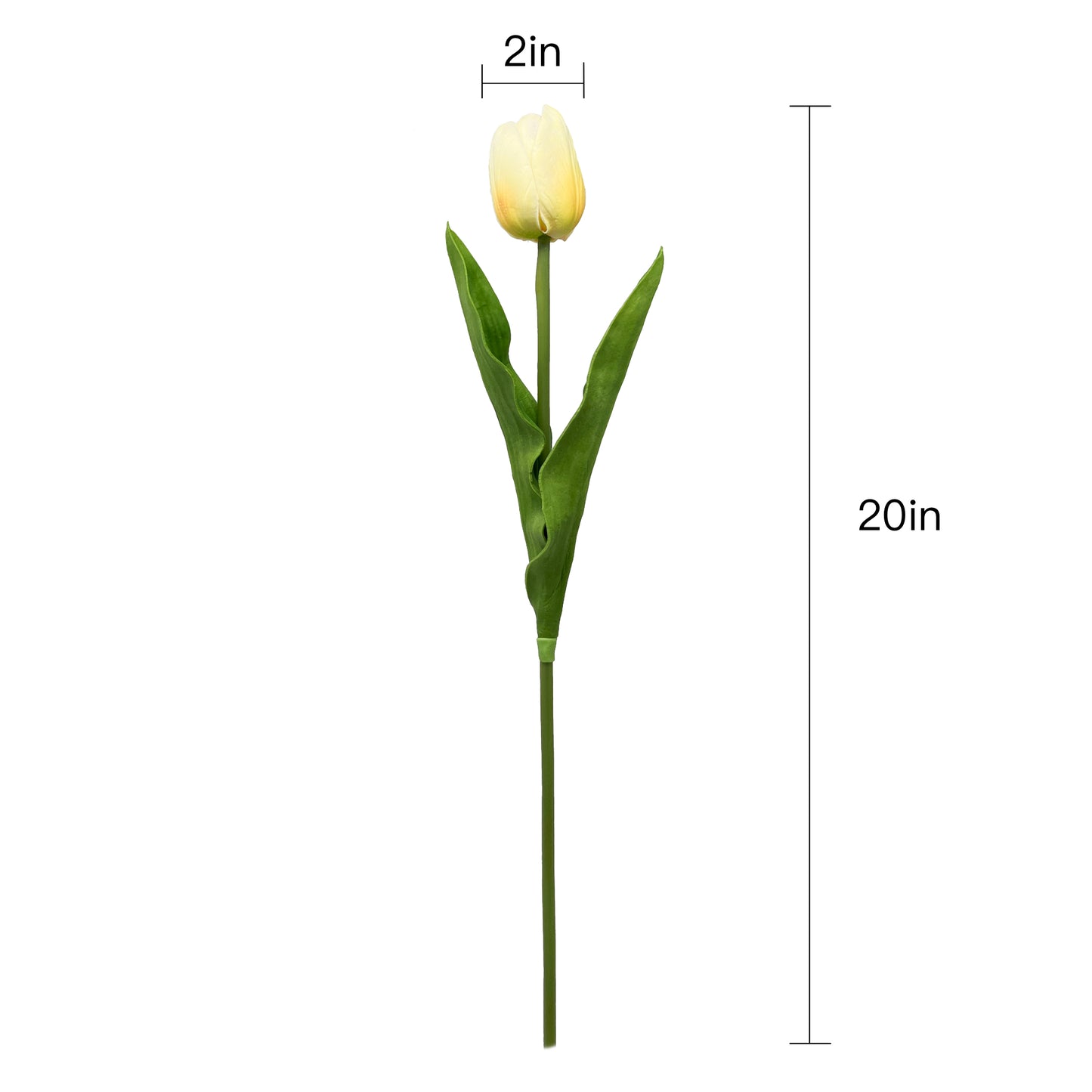 Set of 6 Real Touch Artificial Tulip Stems, 20 inches Tall