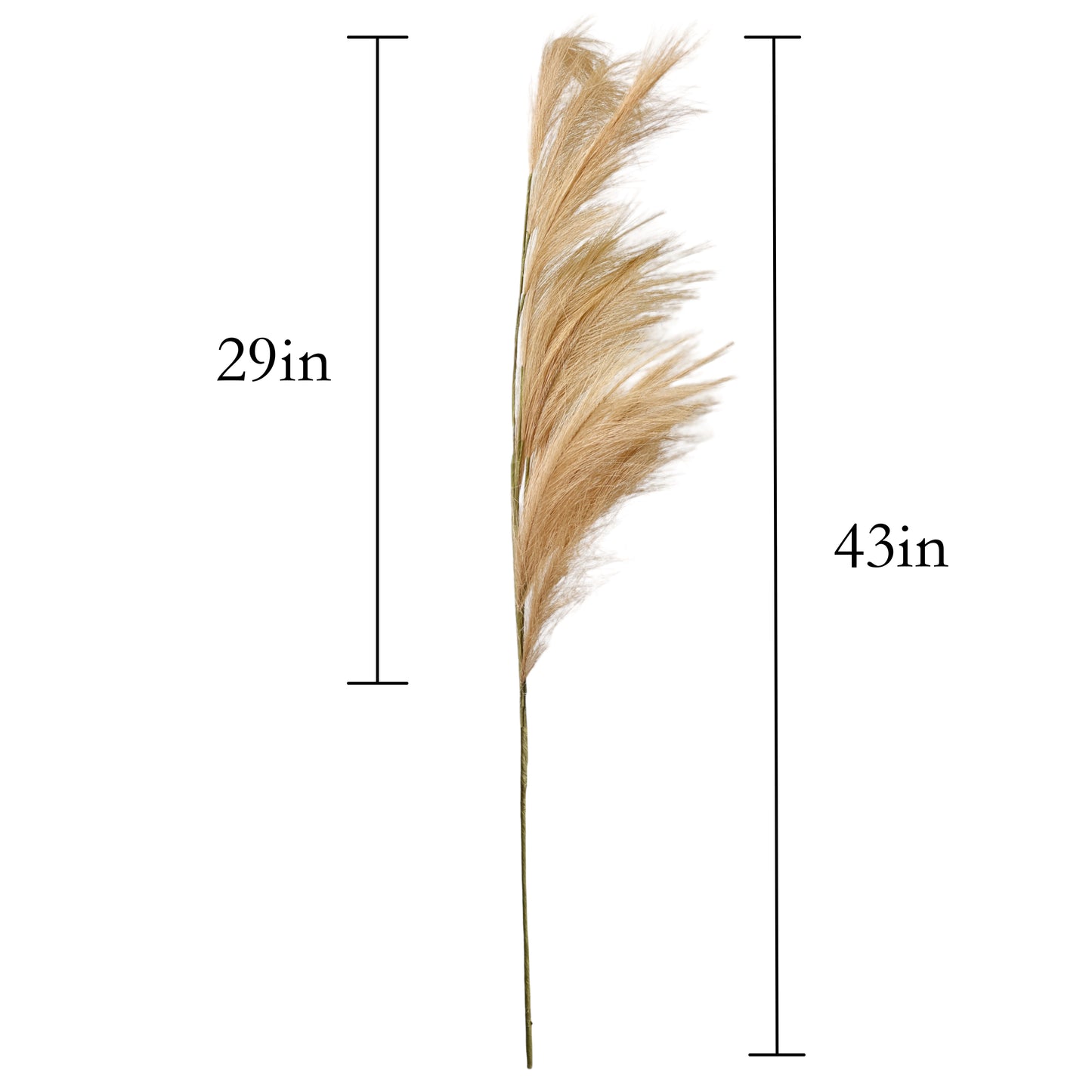 Set of 10 Artificial Pampas Grass Stems, 43 Inches Tall