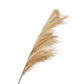 Set of 10 Artificial Pampas Grass Stems, 43 Inches Tall