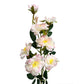 Set of 3 Artificial Iceberg Rose Flower Stems 30 inches Tall