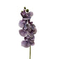 Set of 2 Artificial Orchid Flower Stems in Multiple Colors