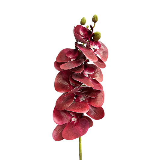 Set of 2 Artificial Orchid Flower Stems in Multiple Colors