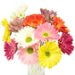 Artificial Real Touch Gerbera Barberton Daisy Stems (Set of 6)